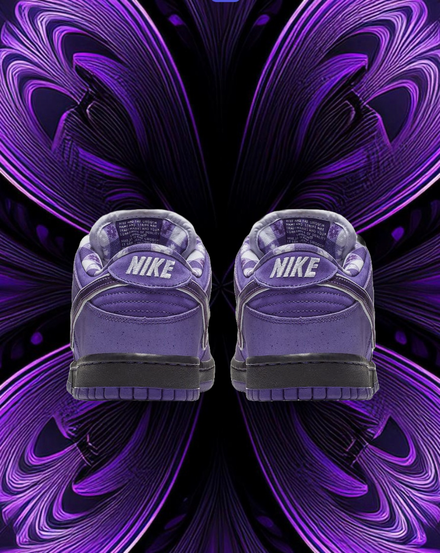 Nike sb dunks ( purple lobster)
