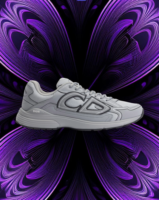 Dior b30 grey