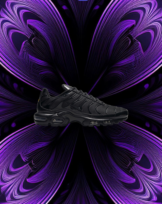 Nike air max plus (triple black)