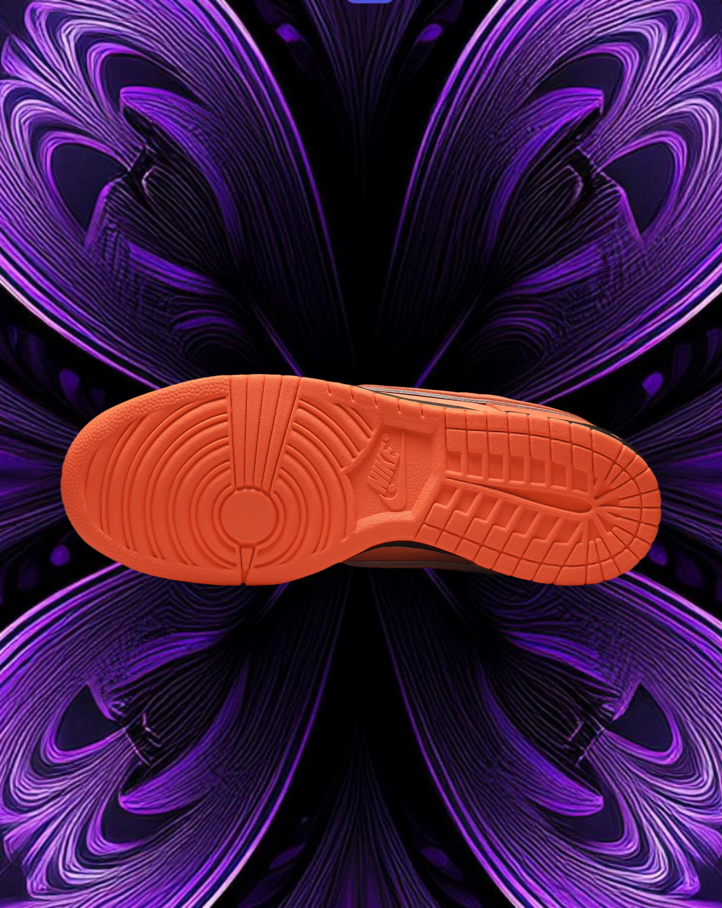 Nike sb dunk (orange lobster)