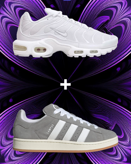 Platinum campus + white tn combo
