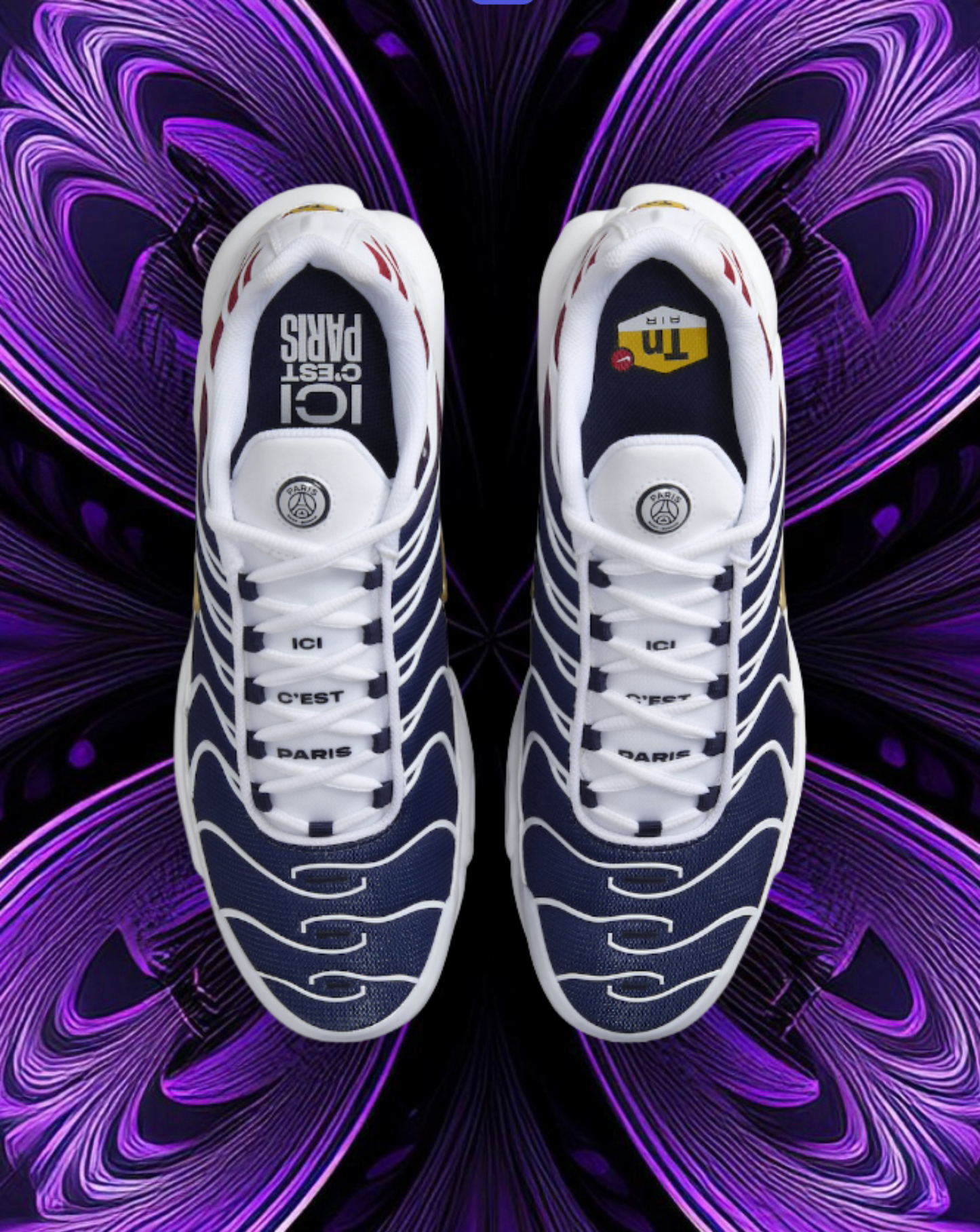 Air max tn (psg)